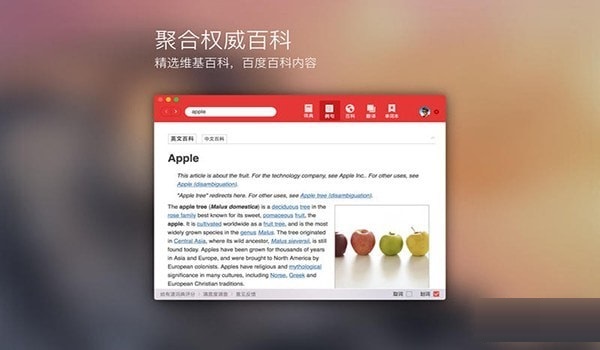 网易有道词典截图