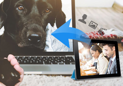 Tipard iPad 2 Transfer for Mac截图