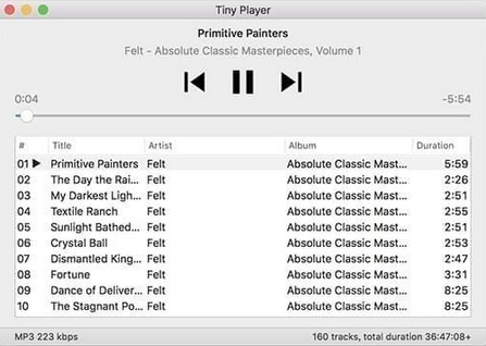 Tiny Player Mac截图
