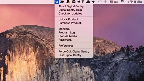 Digital Sentry截图