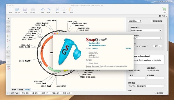 SnapGene 4截图