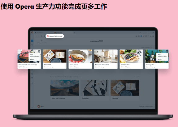 Opera for Mac正式版截图