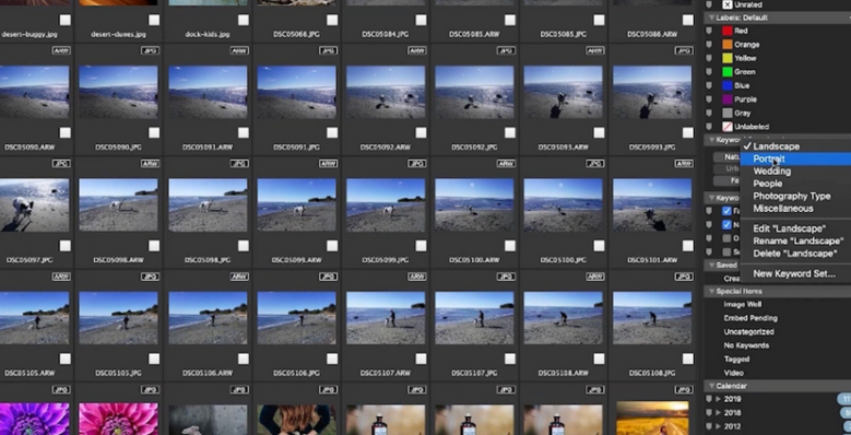 ACDSee Photo Studio for Mac截图