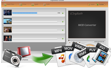 iorgsoft Mod Converter for Mac截图