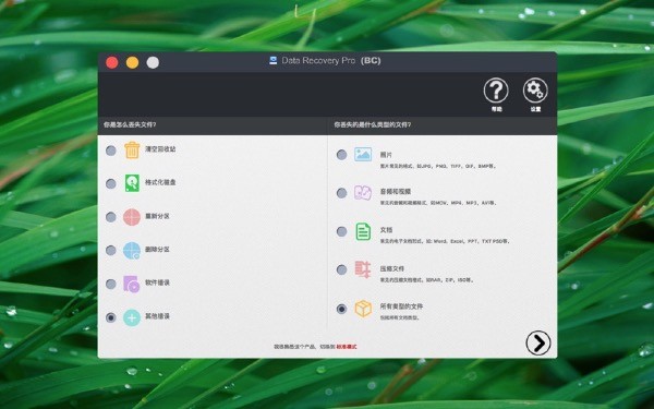 高苹数据恢复截图