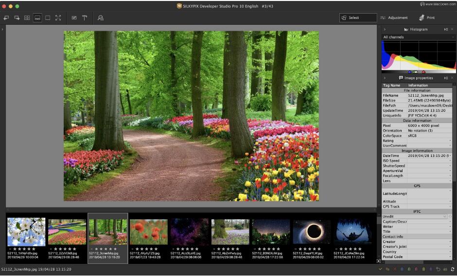 SILKYPIX Developer Studio Pro 11 MAC截图