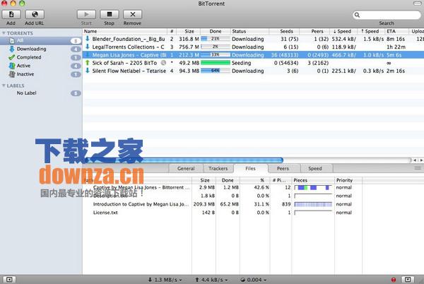 Bittorrent  for mac