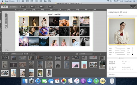 Pixellu SmartAlbums截图