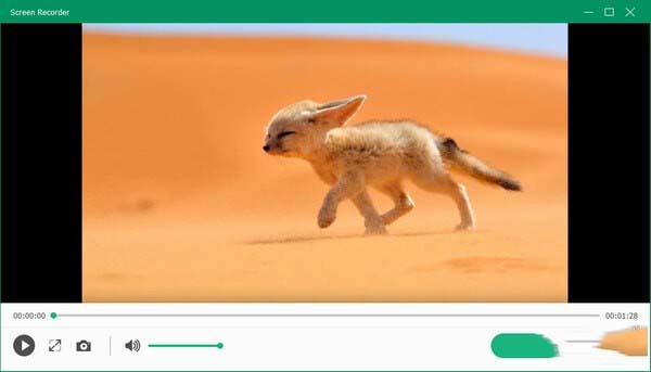 Apeaksoft Screen Recorder截图