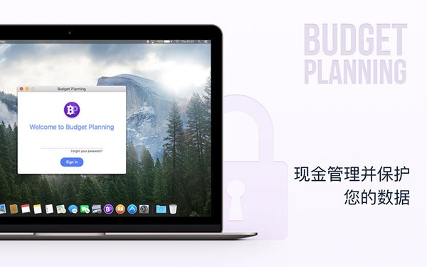 Budget Planning截图