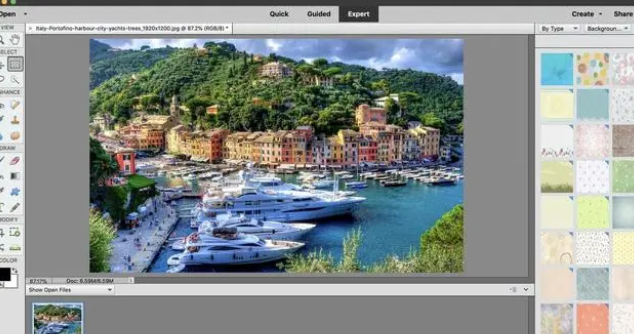 Photoshop Elements 2021 MAC截图