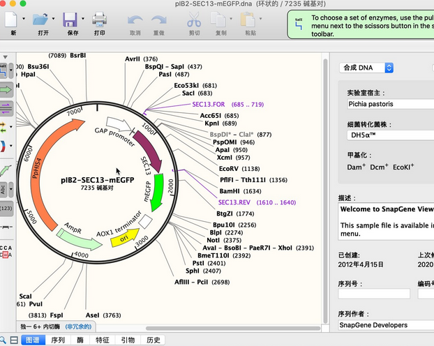 SnapGene Viewer For Mac截图