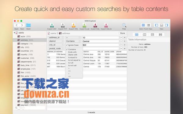 MDB Explorer for mac截图