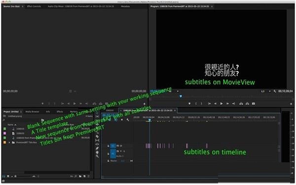 Premiere SRT截图