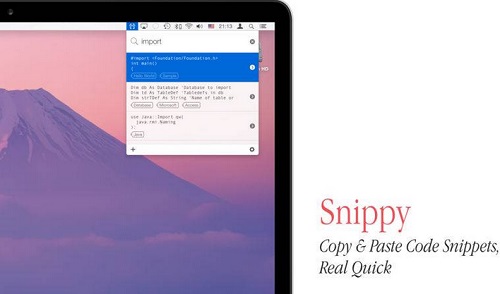Snippy截图