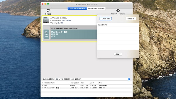 Paragon Hard Disk Manager截图