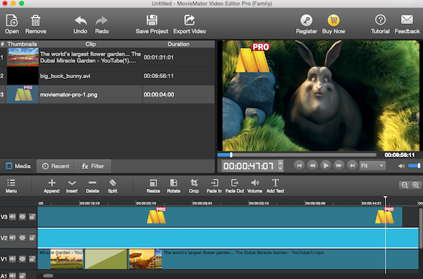 Video Editor MovieMator Pro for Mac截图