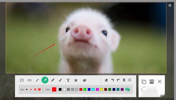 Apeaksoft Screen Recorder截图