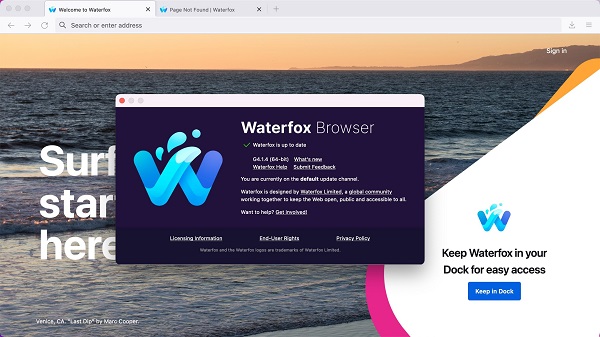 水狐浏览器 MAC版截图