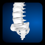 Aging Spine脊柱老化