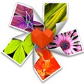 ArcSoft Photo Plus for Mac