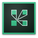 Adobe Connect