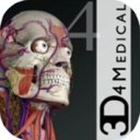 Essential Anatomy 4 for mac