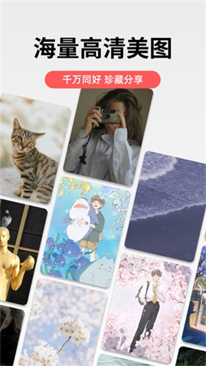 堆糖电脑版 第4张图片