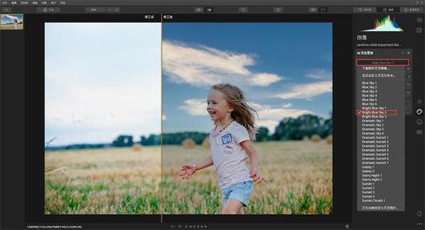 Luminar AI人工智能修图神器使用教程截图5