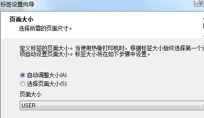 NiceLabel怎么设置标签截图3