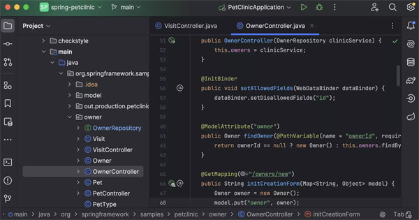 IntelliJ IDEA2024.2.2破解版 第1张图片
