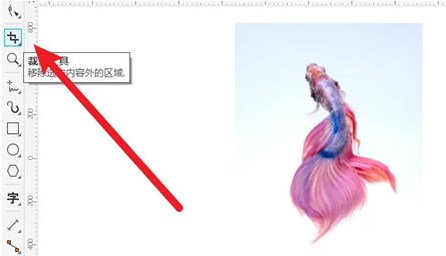 怎么裁剪多余的部分截图1