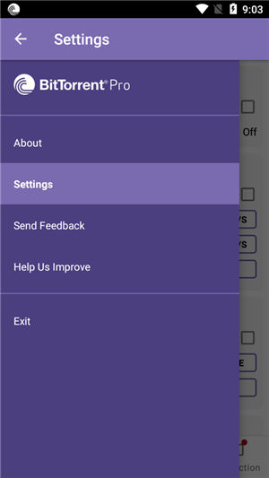 BitTorrent专业版下载截图1