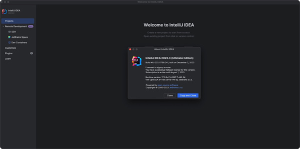 IntelliJ IDEA 2023.3.0破解版 第1张图片