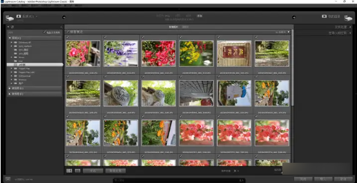 Lightroom Classic 2025破解版怎么导入照片4