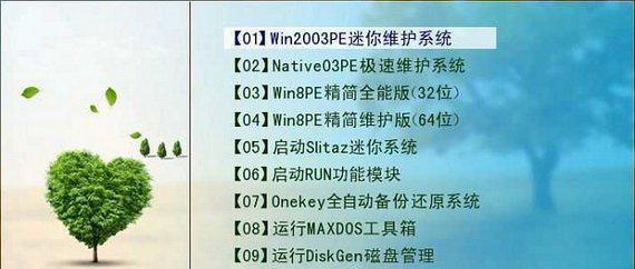 天意pe特别版
