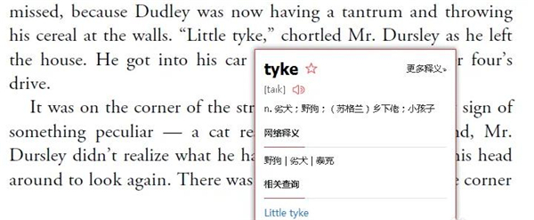 网易有道翻译如何离线翻译?5