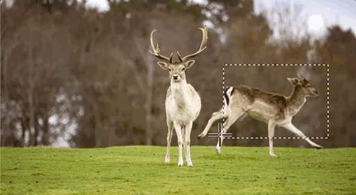 ps2022版本好用吗4