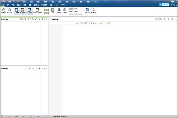 MAXQDA Analytics Pro 2020中文版