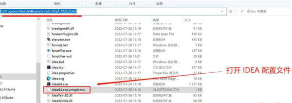 IntelliJ IDEA 2023.1.3破解版安装教程1
