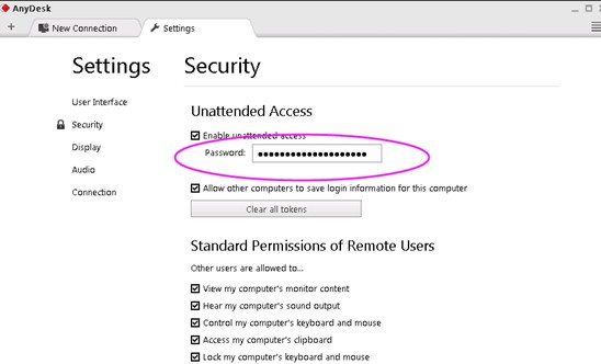 AnyDesk破解便携版安装方法7