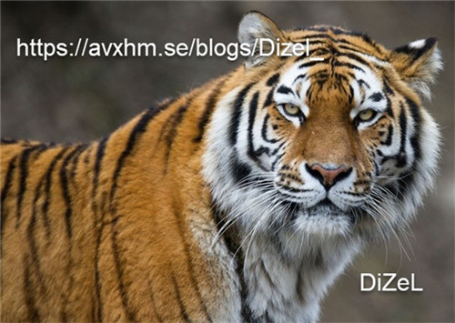 NXPowerLite绿色版免安装版下载截图4