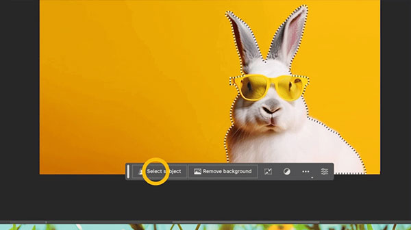 Photoshop2024免安装版使用方法18