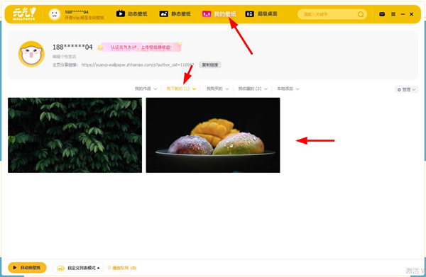 元气壁纸下载步骤截图4
