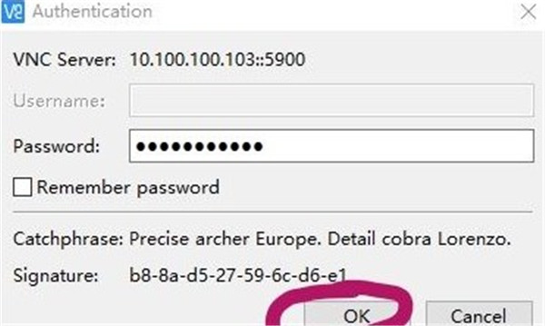 RealVNC Viewer绿色版使用教程截图12