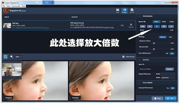 Topaz Gigapixel Ai官方中文版使用教程2