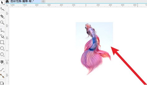 怎么裁剪多余的部分截图3