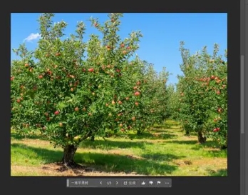 Photoshop 2024 AI绘图功能介绍2