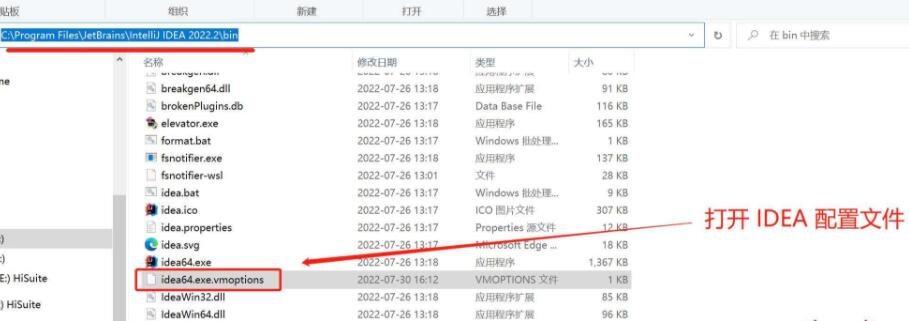 IntelliJ IDEA2024.2.2破解版使用说明1