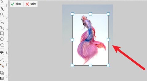 怎么裁剪多余的部分截图2
